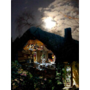 Dollhaus bei Nacht | © Ulrich Holbein