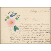 Brief von Alfred Harms an M. Pfüller, ORKA/UB Kassel (https://orka.bibliothek.uni-kassel.de/viewer/image/DE-611-HS-4055468/)
