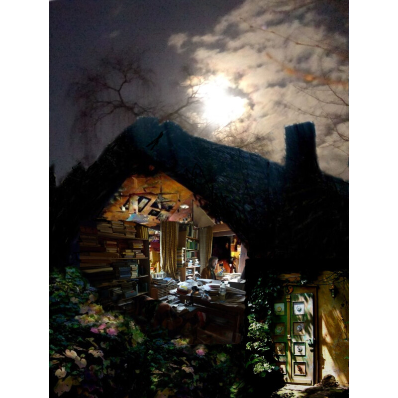 Dollhaus bei Nacht | © Ulrich Holbein